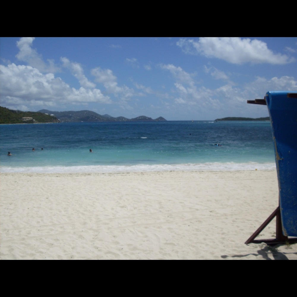 Meet your Posher, Lilly